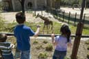 2366_D200_Wash DC Zoo