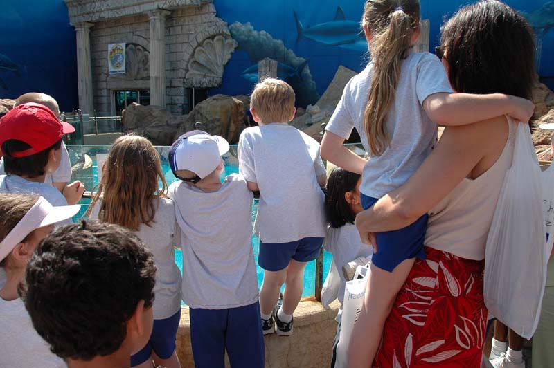2006-06-16_0003__Andrewfieldtripaquarium