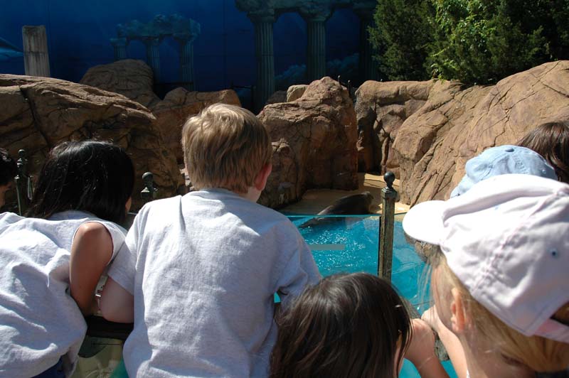 2006-06-16_0005__Andrewfieldtripaquarium