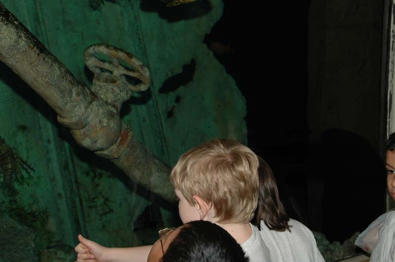 2006-06-16_0018__Andrewfieldtripaquarium