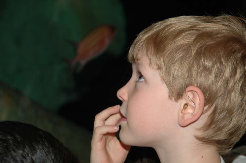 2006-06-16_0019__Andrewfieldtripaquarium