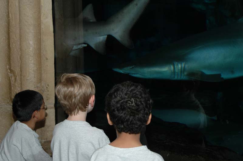 2006-06-16_0021__Andrewfieldtripaquarium