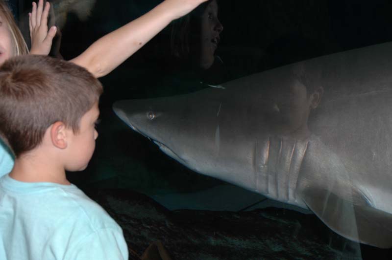 2006-06-16_0022__Andrewfieldtripaquarium
