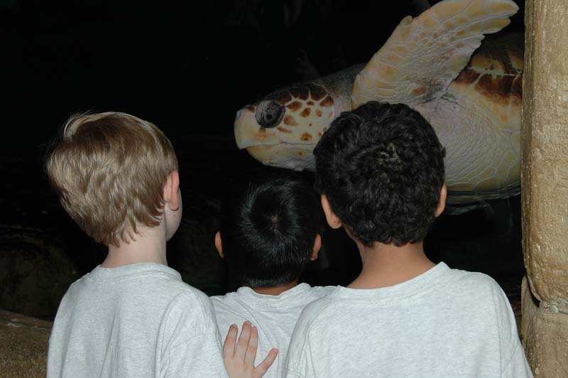 2006-06-16_0024__Andrewfieldtripaquarium