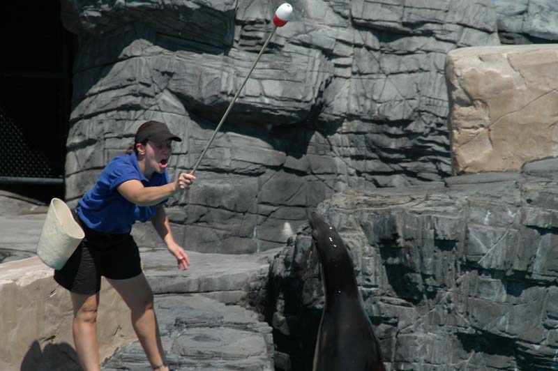 2006-06-16_0030__Andrewfieldtripaquarium