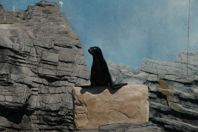 2006-06-16_0031__Andrewfieldtripaquarium