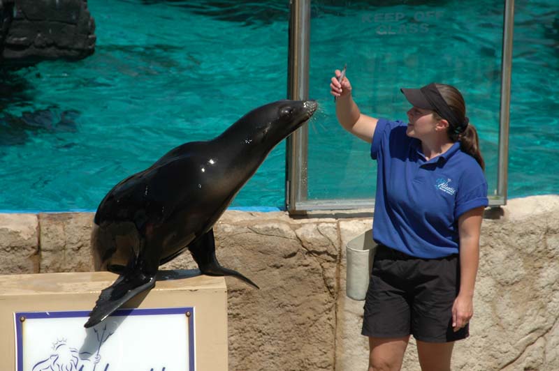 2006-06-16_0033__Andrewfieldtripaquarium