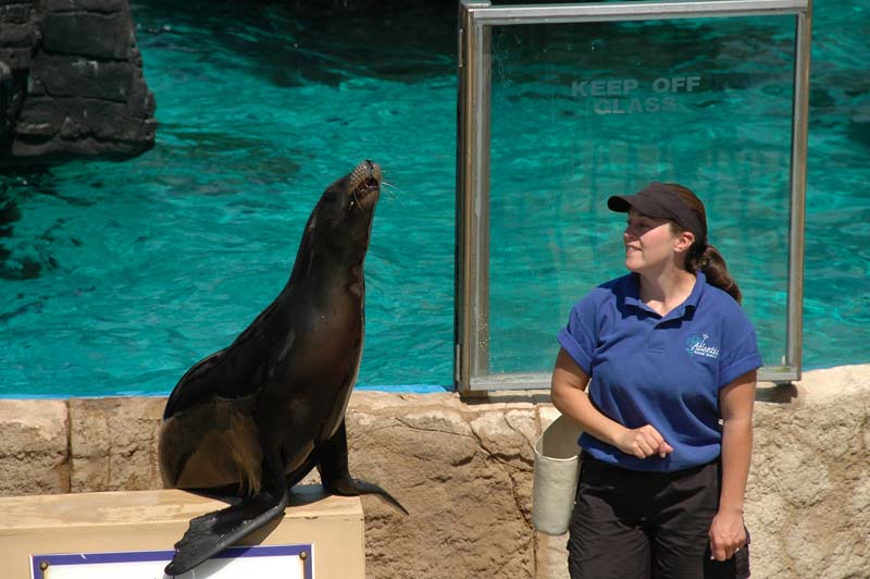 2006-06-16_0034__Andrewfieldtripaquarium