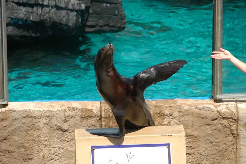 2006-06-16_0037__Andrewfieldtripaquarium