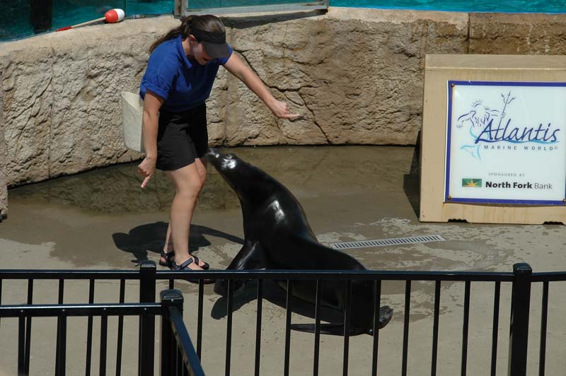 2006-06-16_0039__Andrewfieldtripaquarium