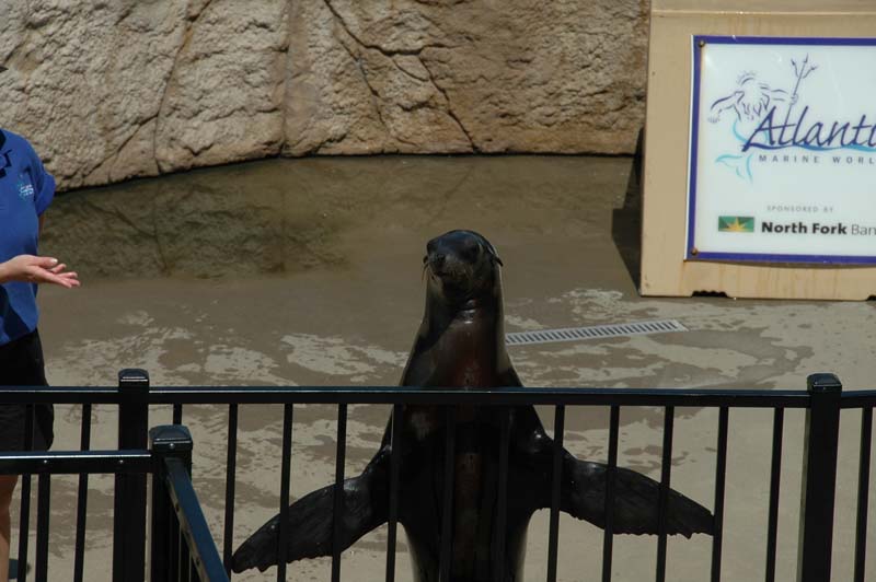 2006-06-16_0040__Andrewfieldtripaquarium