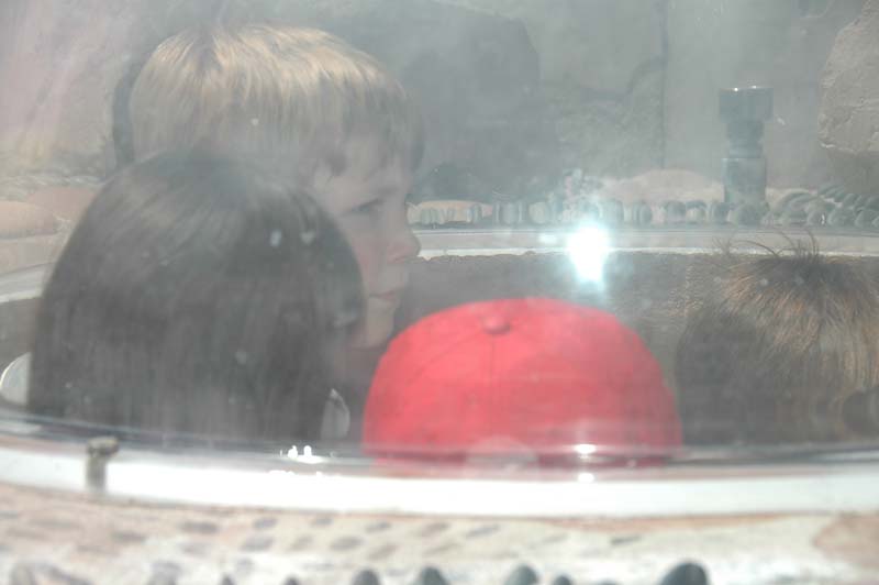 2006-06-16_0046__Andrewfieldtripaquarium