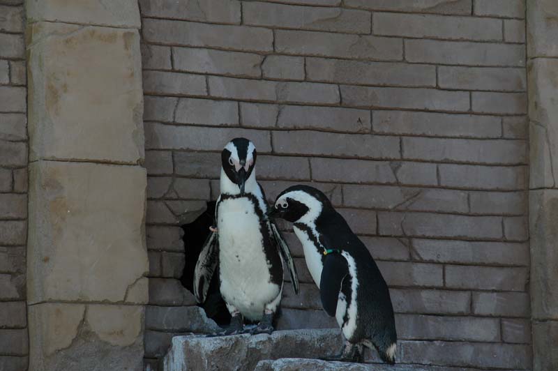 2006-06-16_0053__Andrewfieldtripaquarium