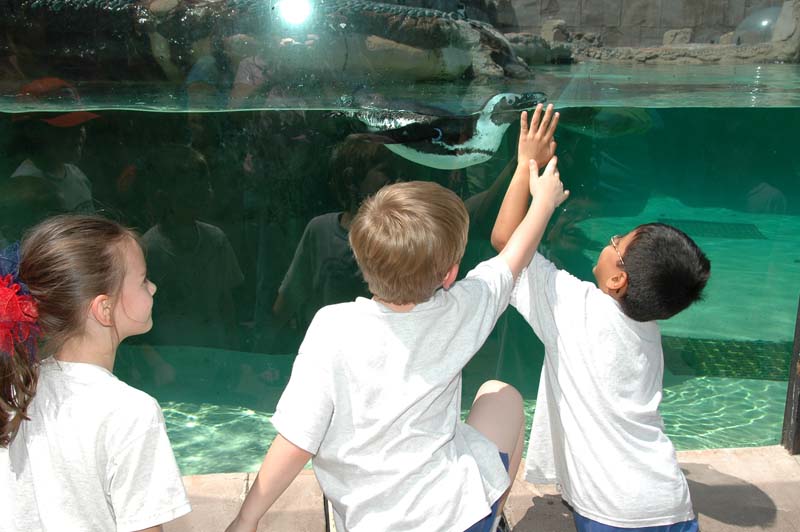 2006-06-16_0054__Andrewfieldtripaquarium