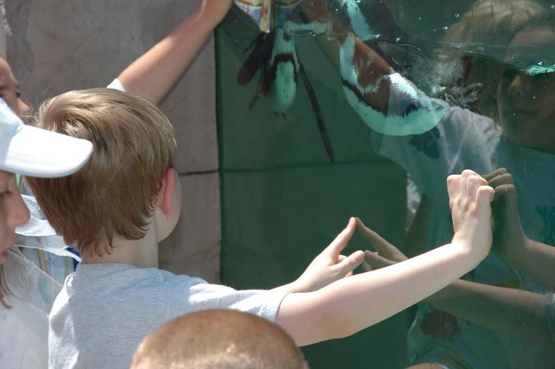 2006-06-16_0055__Andrewfieldtripaquarium