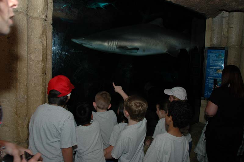 2006-06-16_0065__Andrewfieldtripaquarium