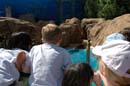 2006-06-16_0005__Andrewfieldtripaquarium