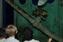 2006-06-16_0016__Andrewfieldtripaquarium