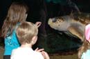 2006-06-16_0023__Andrewfieldtripaquarium