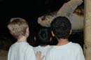 2006-06-16_0024__Andrewfieldtripaquarium