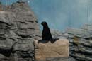 2006-06-16_0031__Andrewfieldtripaquarium