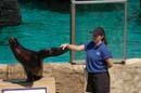 2006-06-16_0035__Andrewfieldtripaquarium