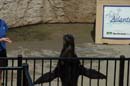 2006-06-16_0040__Andrewfieldtripaquarium