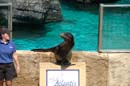 2006-06-16_0041__Andrewfieldtripaquarium