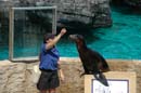 2006-06-16_0042__Andrewfieldtripaquarium