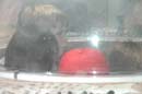 2006-06-16_0046__Andrewfieldtripaquarium
