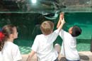 2006-06-16_0054__Andrewfieldtripaquarium