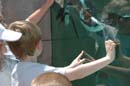 2006-06-16_0055__Andrewfieldtripaquarium