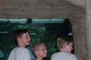 2006-06-16_0056__Andrewfieldtripaquarium