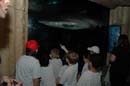2006-06-16_0065__Andrewfieldtripaquarium
