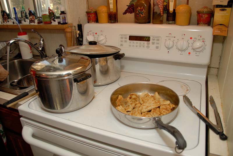 1689_Pierogi  Party