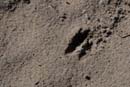 2007-03-03_0036_FINS