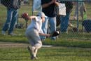 2007-05-15_0188_Gregory LL