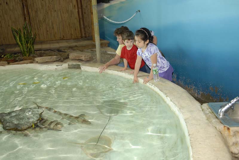 2007-06-11_0009_Glen Aquarium