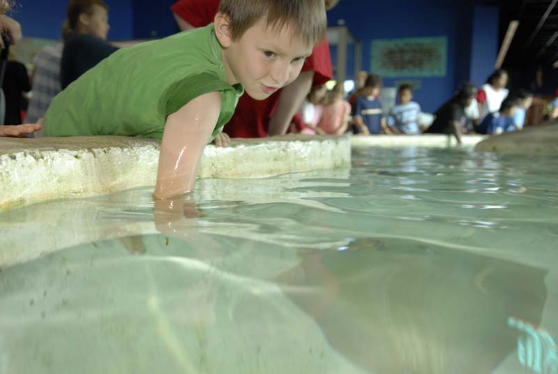 2007-06-11_0012_Glen Aquarium