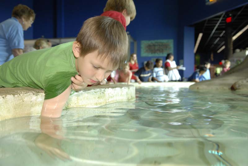 2007-06-11_0013_Glen Aquarium