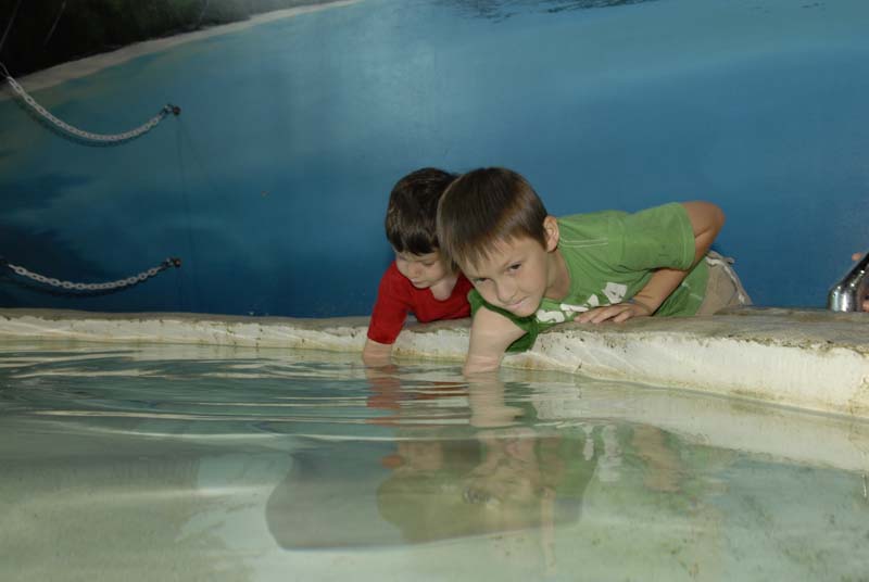 2007-06-11_0023_Glen Aquarium