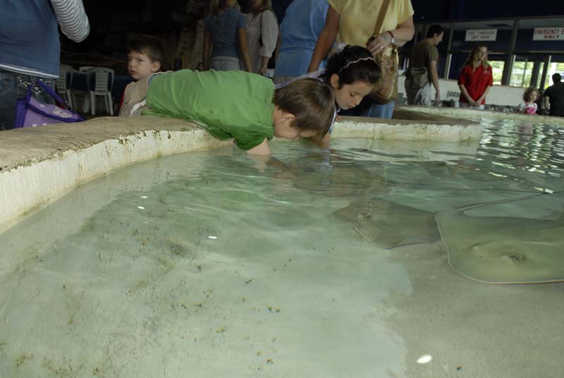 2007-06-11_0030_Glen Aquarium