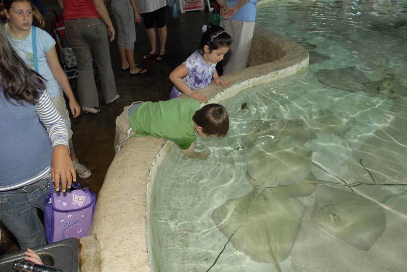 2007-06-11_0032_Glen Aquarium