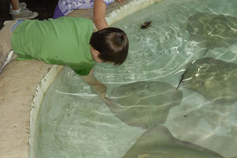 2007-06-11_0033_Glen Aquarium