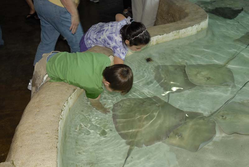 2007-06-11_0034_Glen Aquarium