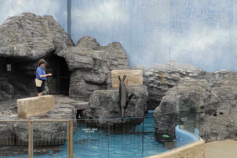 2007-06-11_0058_Glen Aquarium