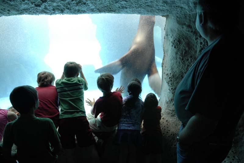 2007-06-11_0063_Glen Aquarium