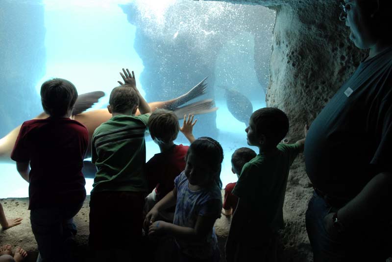 2007-06-11_0065_Glen Aquarium