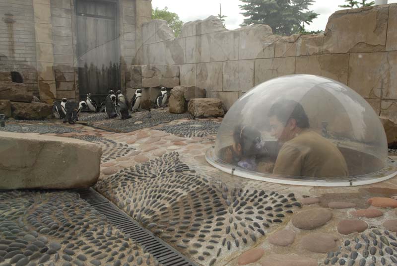 2007-06-11_0072_Glen Aquarium