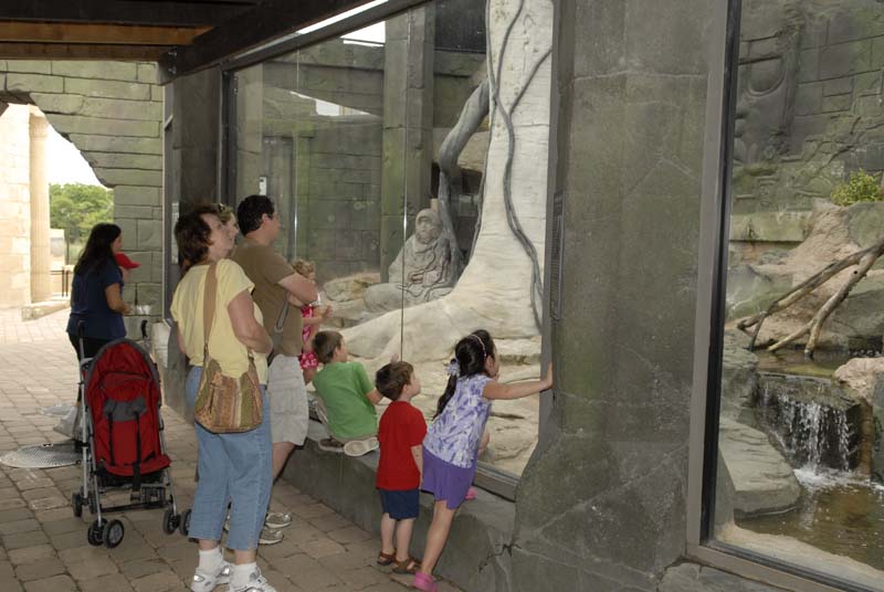 2007-06-11_0095_Glen Aquarium